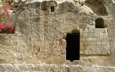 We Make the Road by Walking: Out of the Tomb