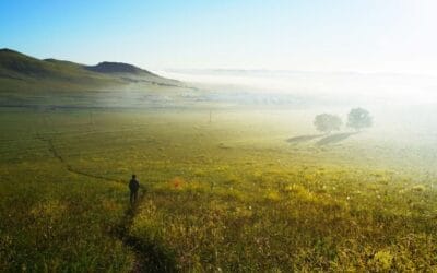 Thife 3rd Edition: Week 1