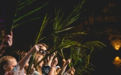Palm Sunday: The Time of Your Visitation